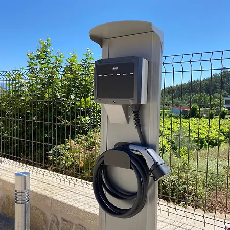 Marilyn Monroe Canedo de Basto