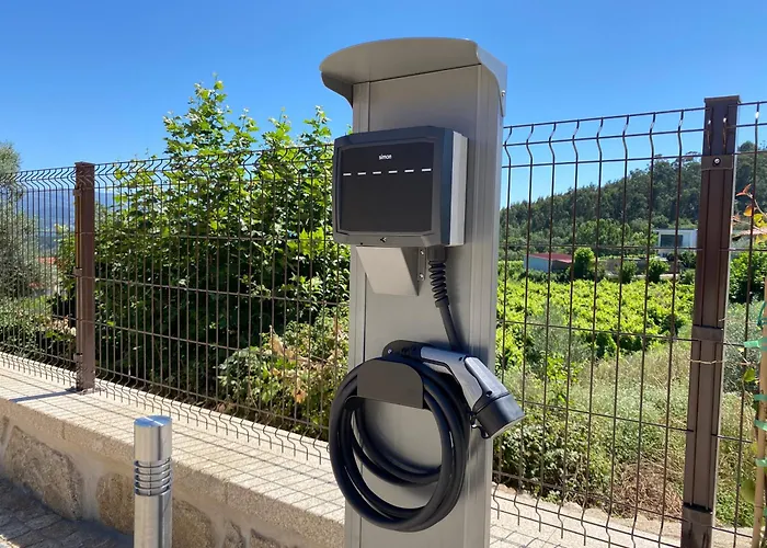 Marilyn Monroe Canedo de Basto